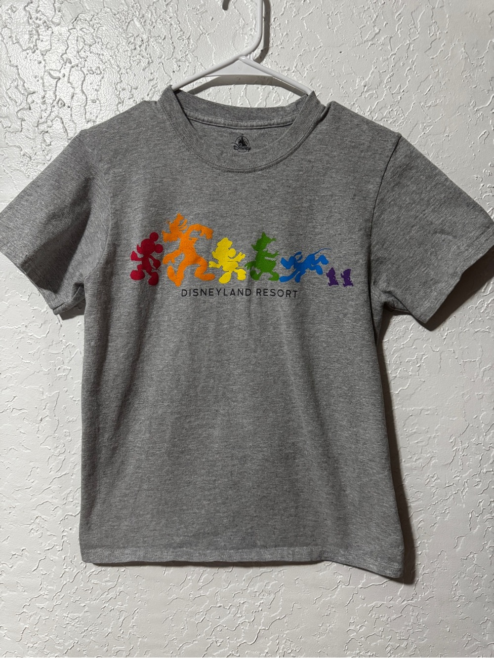 Rainbow Mickey and Friends Silhouette Youth T-Shirt
Kids size large